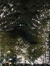 🌲2020年 東京丸の内クリスマスツリー と2025年に乞うご期待❣️