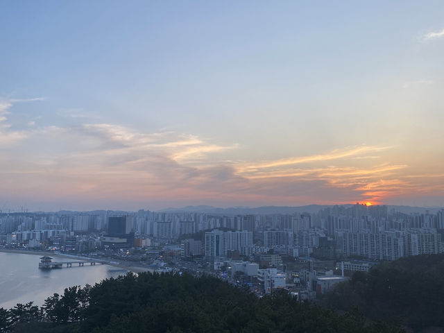 지금까지 이런 스카이워크는 없었다! 포항 스페이스워크