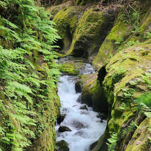 พายเรือที่ Takachiho Gorge