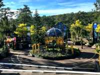 Baguio Botanical Garden: A Green Sanctuary in the City of Pines