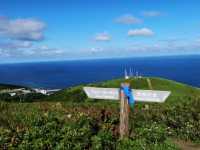 滿山花香 走一趟「花之浮島」
