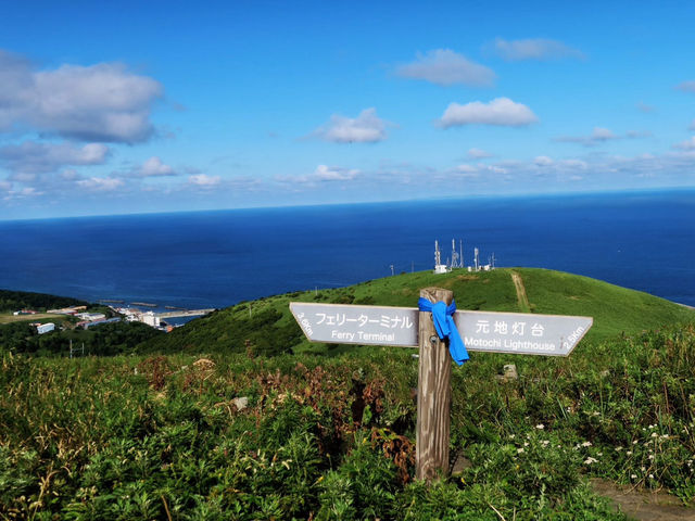 滿山花香 走一趟「花之浮島」