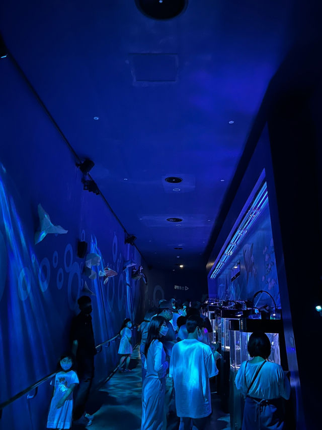 📍여수 핫플 아쿠아플라넷 탐방기🐠🖼️✨
