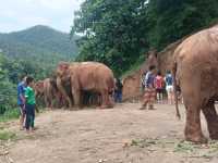 Kerchor elephant eco park