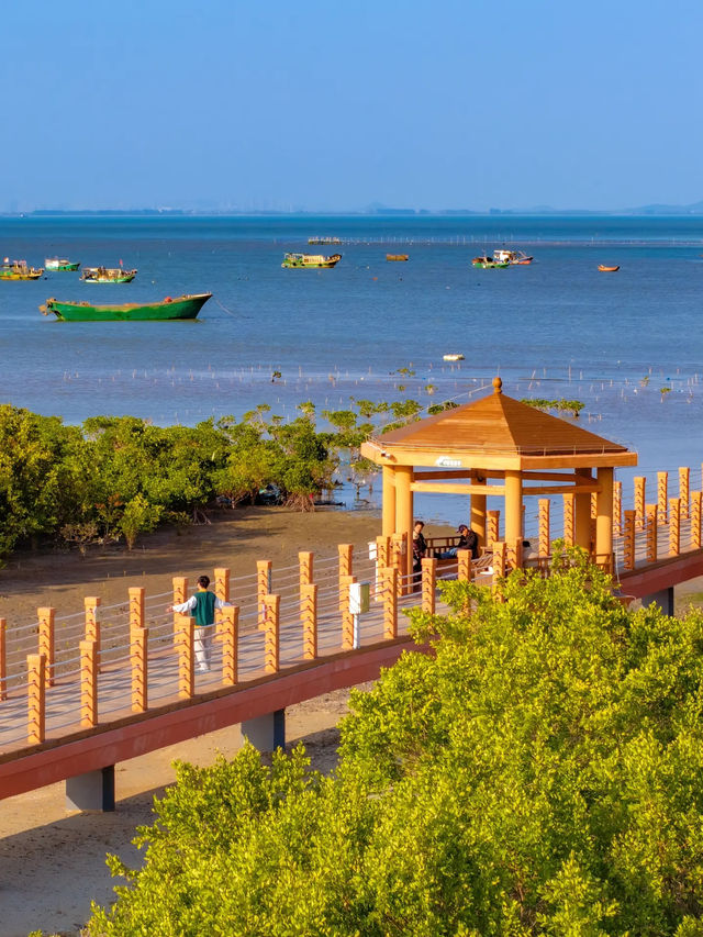【海陵島｜南海碧浪寫給夏天的長信】 