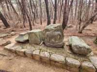 A Walk Through History: My Solo Hike Up Mt. Namsan