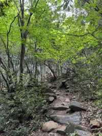 Trekking in beautiful Moganshan mountain 莫干山