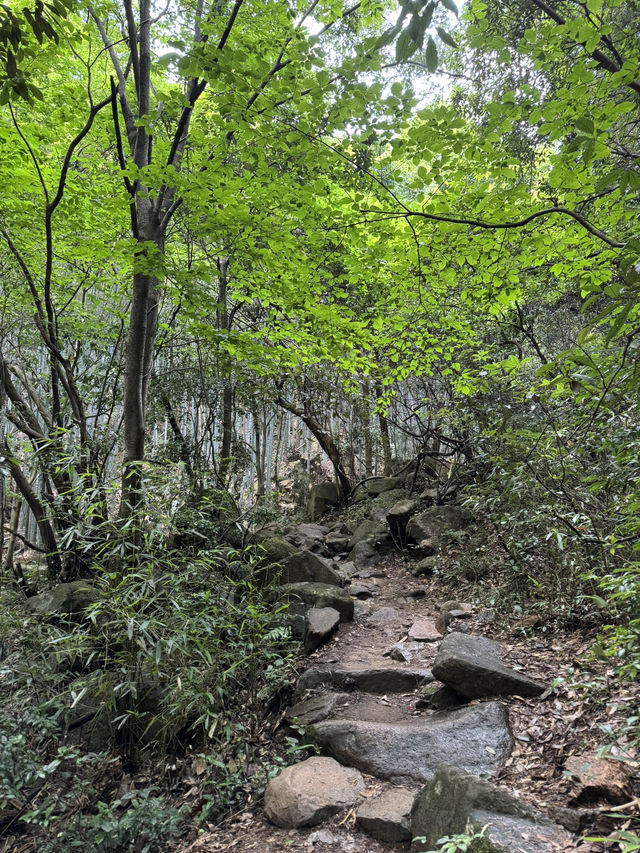 Trekking in beautiful Moganshan mountain 莫干山