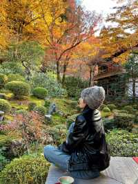 Hakone Autumn Season Guide 🍁🏞️ 