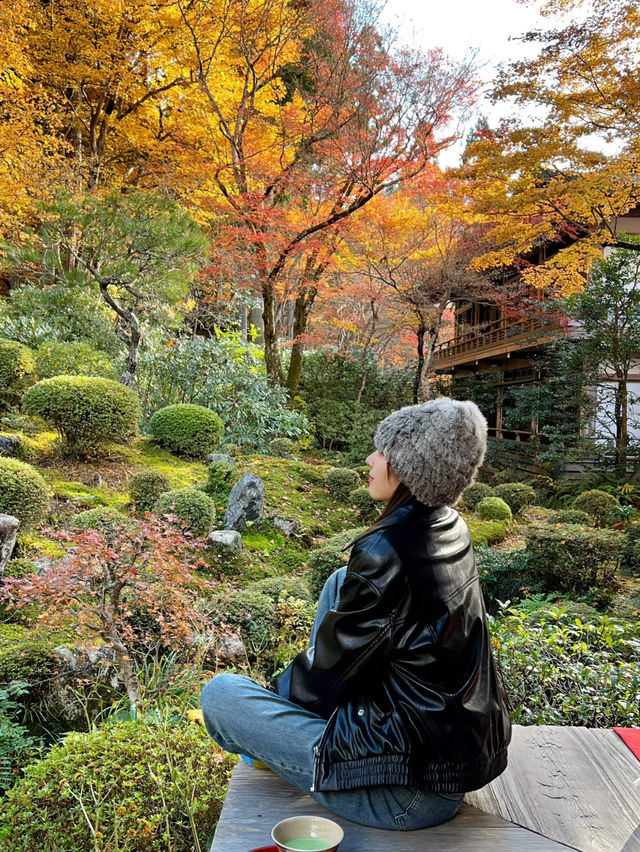 Hakone Autumn Season Guide 🍁🏞️ 