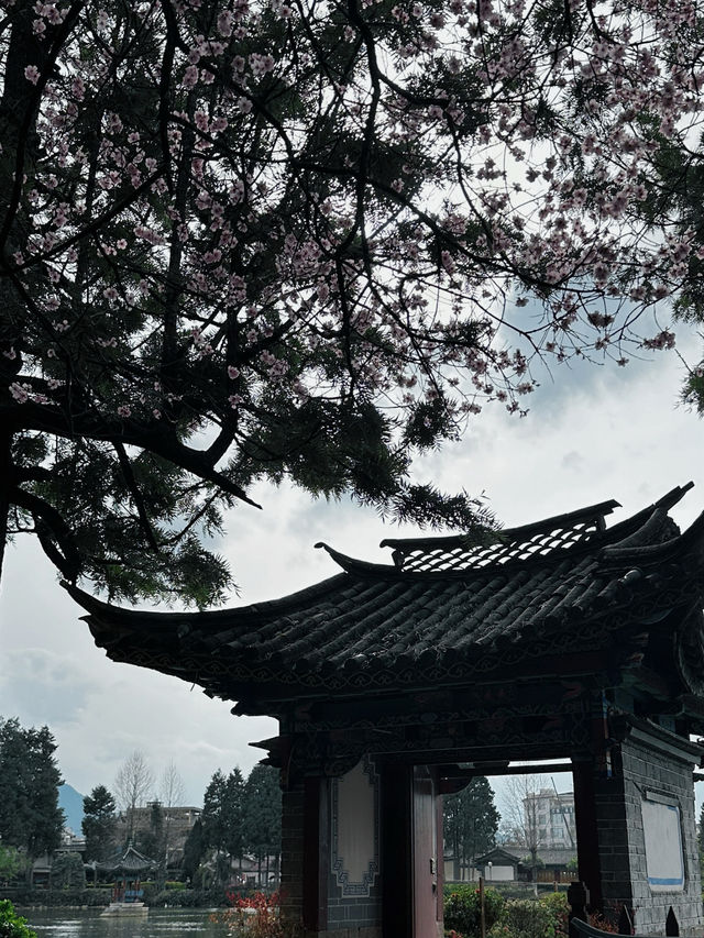 BEST LIJIANG'S SUNSET SPOT 🌄 BEST LIJIANG'S SUNSET SPOT 🌄