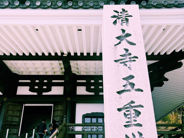 越前市：清大寺五重塔的歷史與美景