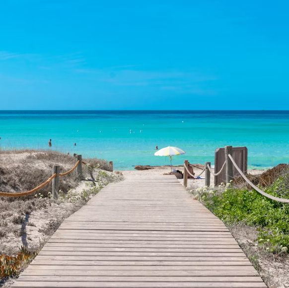 フォルメンテーラ島🏝️ フォルメンテーラ島🏝️