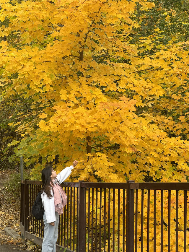 🏔️ 알프스 감성을 품은 미국의 작은 마을, 리븐워스 (Leavenworth) 🏔️ 알프스 감성을 품은 미국의 작은 마을, 리븐워스 (Leavenworth)