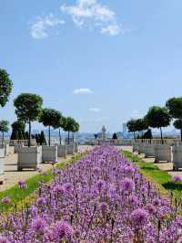 Revolving Around the Beauty of Architecture: Eyes – France 