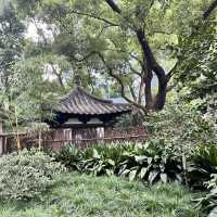 🚶‍♀️ Jing’an Walking Tour — Heritage & Culture in the Heart of Shanghai