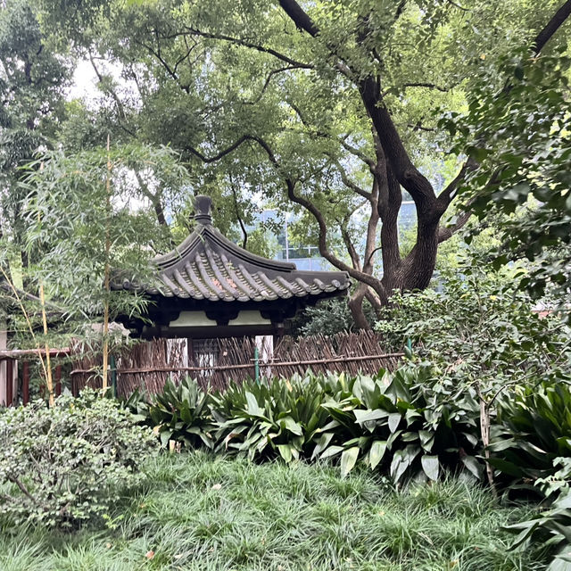 🚶‍♀️ Jing’an Walking Tour — Heritage & Culture in the Heart of Shanghai