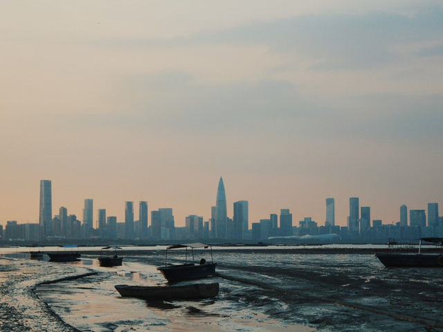 【香港🇭🇰】城市遊·第十四站:流浮山· 城市剪影與泥灘 【香港🇭🇰】城市遊·第十四站:流浮山· 城市剪影與泥灘