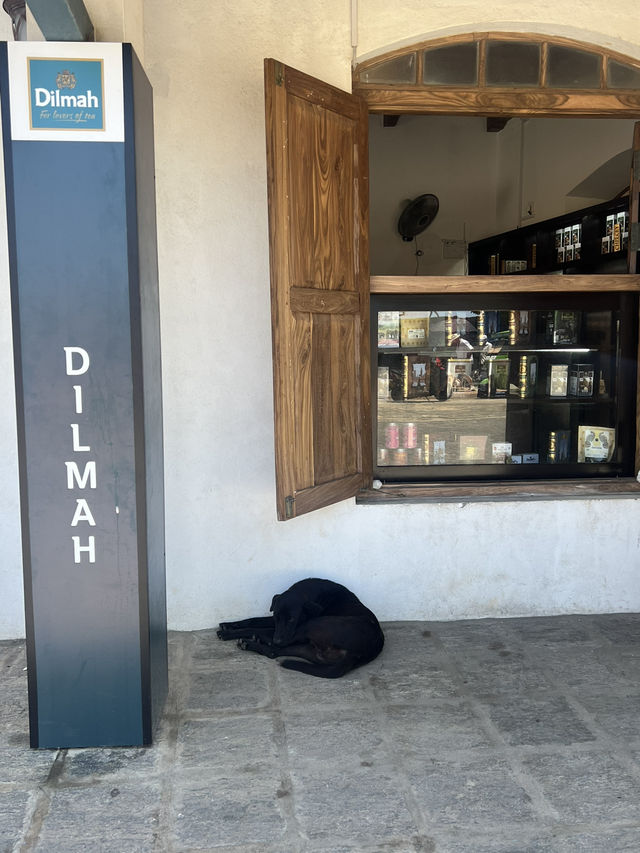 🇱🇰 斯里蘭卡：加勒（Galle） ⛱️