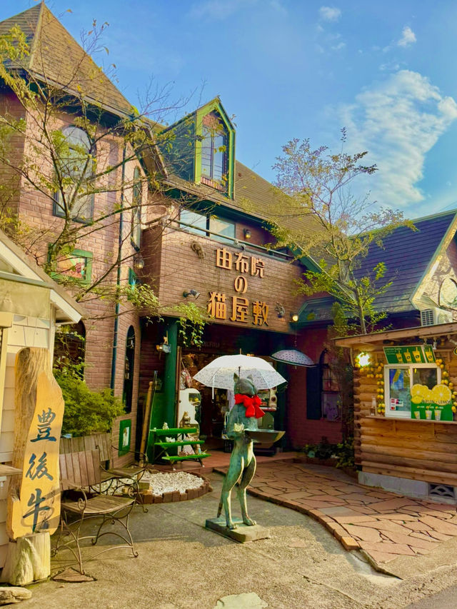 여름의 유후인, 초록빛 골목길 산책 🌿🌞
