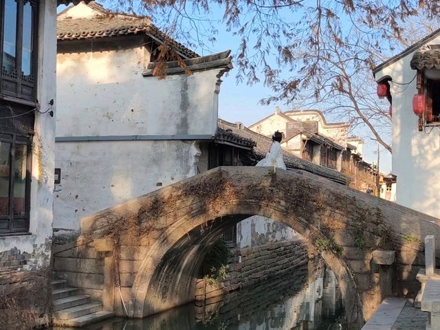一個人的周莊：獨享江南水鄉的寧靜 🌿