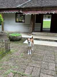รวมที่เที่ยวในเชียงใหม่