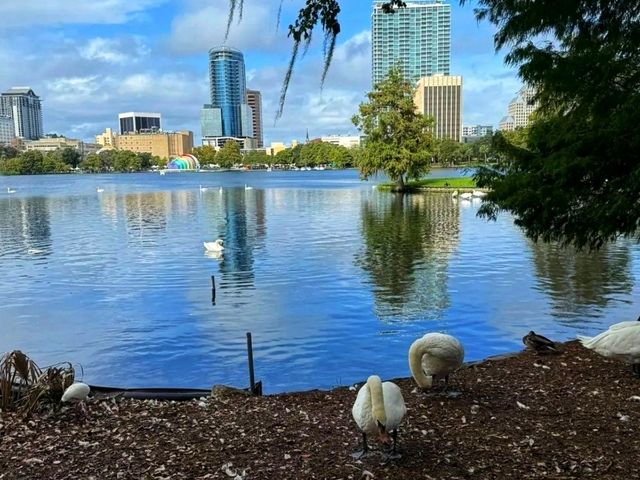🌅 “Lake Eola Park – The Peaceful Heart of Downtown Orlando!” 🌅 “Lake Eola Park – The Peaceful Heart of Downtown Orlando!”