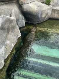 MANILA OCEAN PARK & BIODOME BLISS