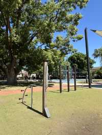 鳥聲中喝早茶：Campsie RSL 的 Sun Ho 飲茶探訪