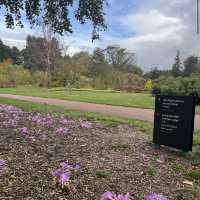Royal Botanic Garden Edinburgh