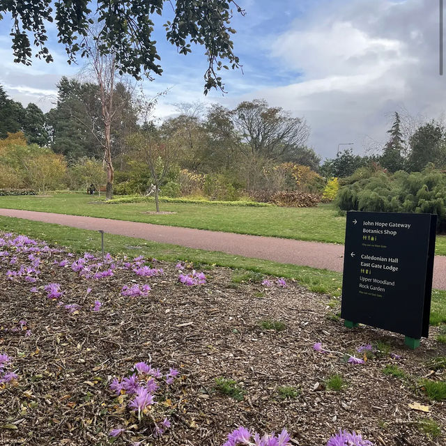 Royal Botanic Garden Edinburgh