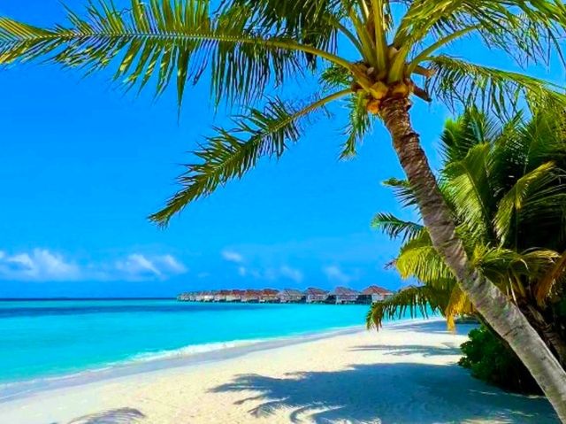 Anantara Kihavah Maldives Villas – Timeless Luxury by the Ocean