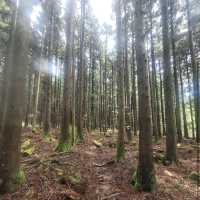Halla Arboretum, Jeju Island,S.Korea