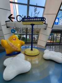 Silk Road Porcelain Rhymes