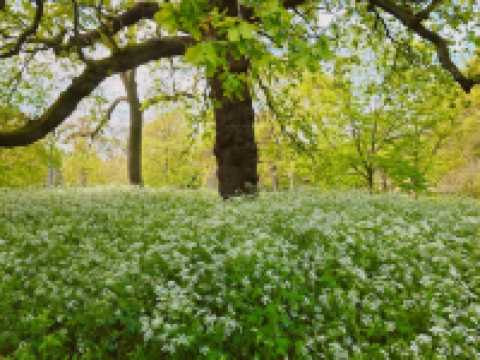 ๊ธ๊ฐ์ฐ๋ ์ํ๊ฒฝ! ํ๊ฐ๋ ์์ ๋ง์๋ ํ๋ผ๐๐ฒ