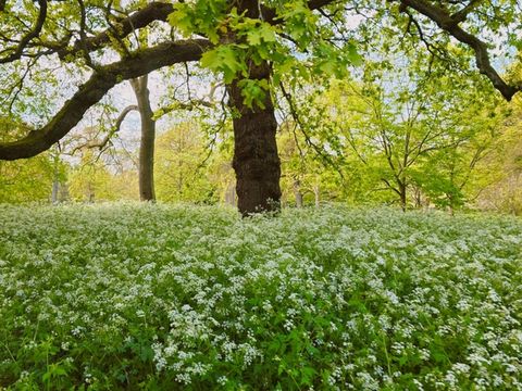 ๊ธ๊ฐ์ฐ๋ ์ํ๊ฒฝ! ํ๊ฐ๋ ์์ ๋ง์๋ ํ๋ผ๐๐ฒ ๊ธ๊ฐ์ฐ๋ ์ํ๊ฒฝ! ํ๊ฐ๋ ์์ ๋ง์๋ ํ๋ผ๐๐ฒ