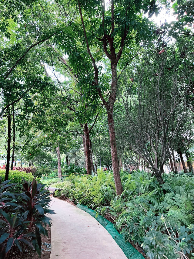 The Starling: Mall in the Park with Lush Greenery and Serene Charm