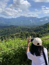 ไปหาสมศรี@ภูทัพฟ้า 360 องศา จ.แพร่