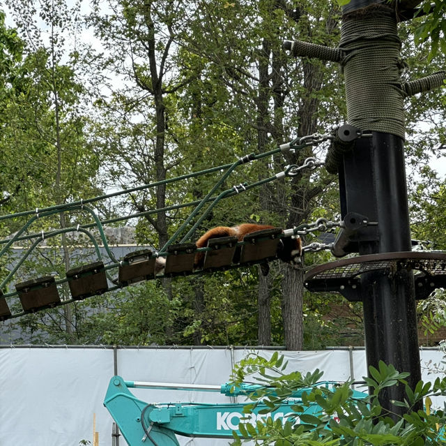 北海道旭川市旭山動物園