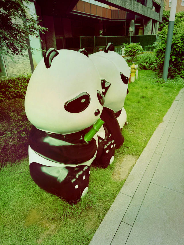 Chengdu and Yantai completely stole my heart! 🐼✨