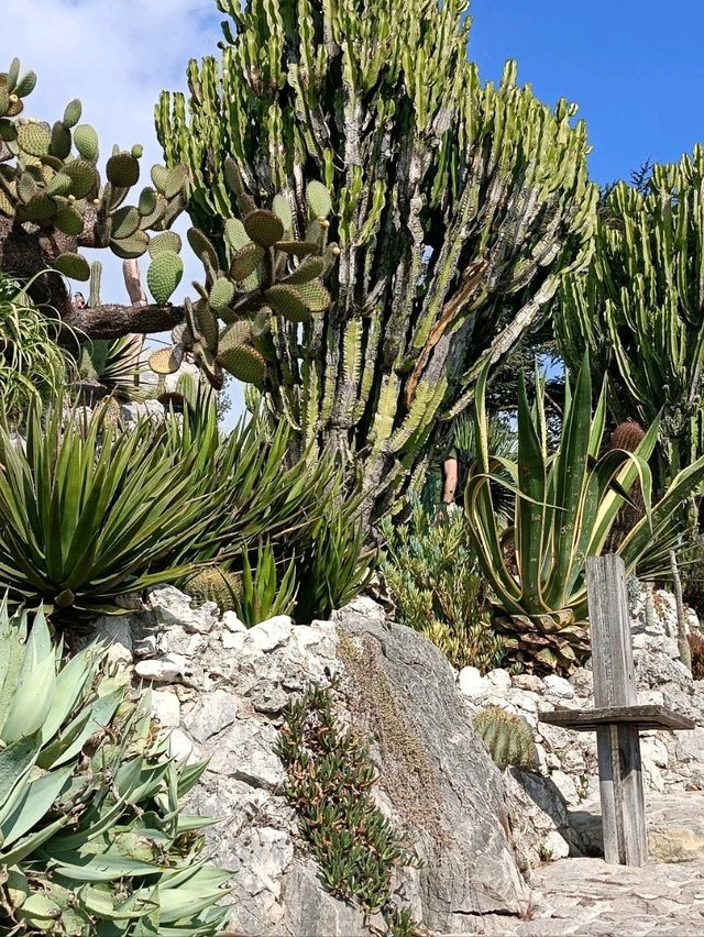 Eze is a hidden gem in French Riviera