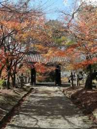 🌸🏯 Whispering Walls of Akizuki Castle Ruins 🍂🌿