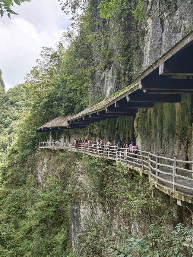 📍 中國最美峽谷！恩施大峽谷真的震撼到哭