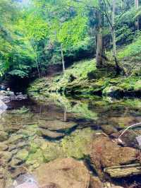 猛暑の中🫠涼を求めるならここ行って✨一日中自然を満喫できる滝のテーマパーク😉