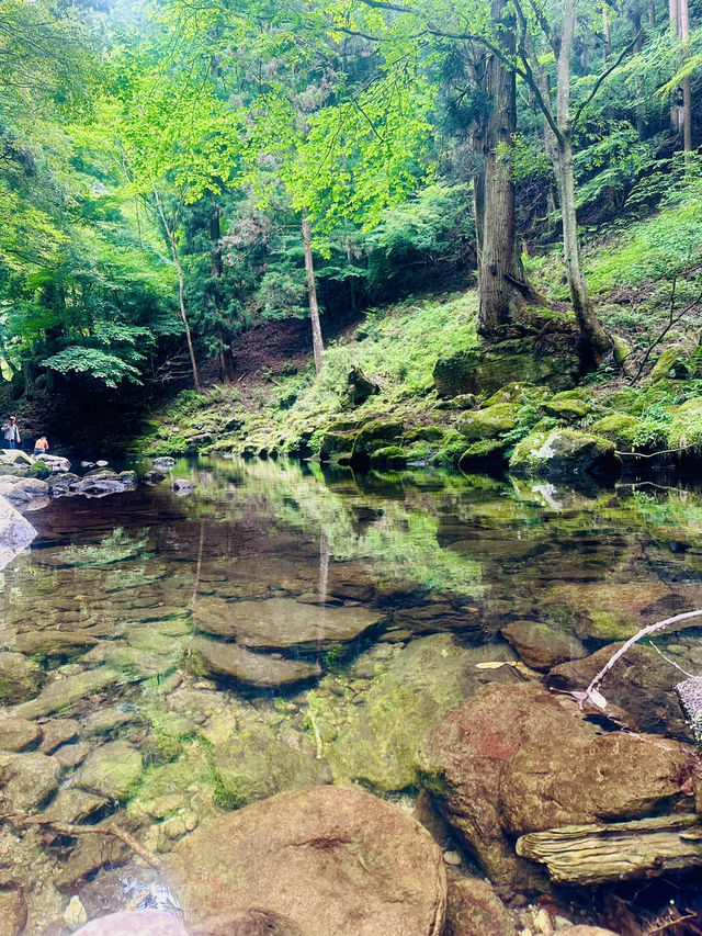 猛暑の中🫠涼を求めるならここ行って✨一日中自然を満喫できる滝のテーマパーク😉 猛暑の中🫠涼を求めるならここ行って✨一日中自然を満喫できる滝のテーマパーク😉