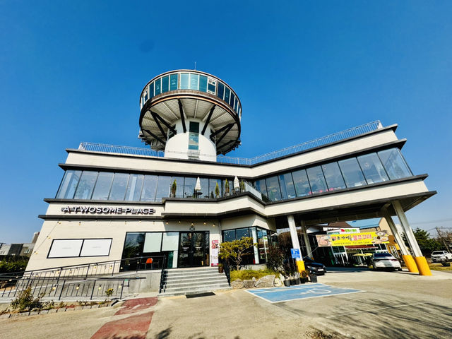 The Lighthouse of Lattes: Café Heaven ☕️