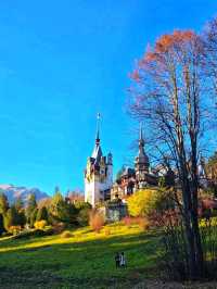 🏰 Where Royal Dreams Meet the Mountains – Discover Peleș Castle