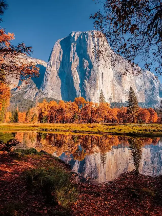 🍁 Yosemite National Park – Nature’s Golden Symphony in Autumn 🇺🇸✨