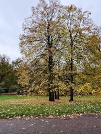 Hyde park🇬🇧🍁🍂