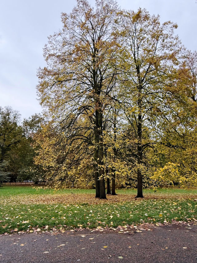 Hyde park🇬🇧🍁🍂 Hyde park🇬🇧🍁🍂